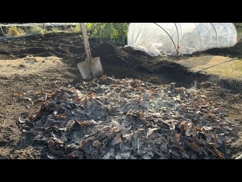 落ち葉をリサイクルするための5つのヒント！  庭園