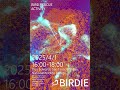 BIRDIE active posters