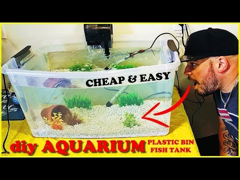 download lagu mp3 mp4 Fish Container, download lagu Fish Container gratis, unduh video klip Fish Container