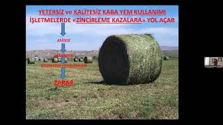 Yem ve Hayvan Besleme Teknik Eğitim Programı, Prof. Dr. Ahmet ALÇİÇEK -  Rasyon 
