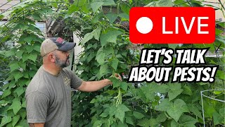What’s Eating Your Garden?! 🐛 LIVE Pest Talk