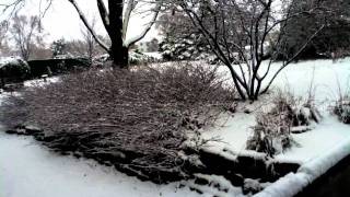 seBaDoh - show tape &#39;91