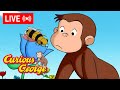 LIVE Curious George Episodes Where Does Honey Come From MORE