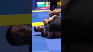 The Best Flying Triangle: A Guide to the Slickest ✈ï¸