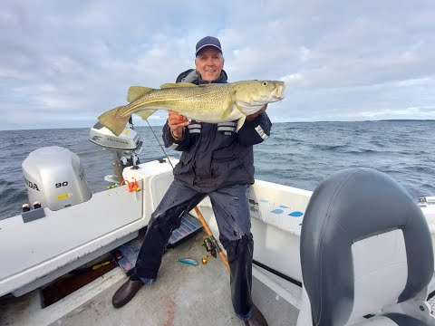 Team Somnium - Spodsbjerg augustus 2021(Denemarken/Denmark - Spodsbjerg-kabeljauw/torsk/cod/dorsch)