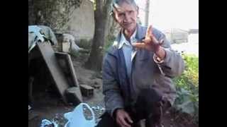 preview picture of video 'Abandono de cães no pinheirinho'