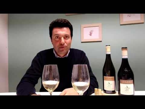 Lugana Mandolara. Due annate a confronto