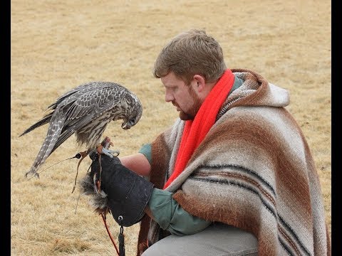 How to properly pick up and set down a raptor