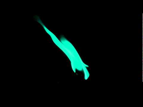 Elpe - Szanuj Swoje Życie