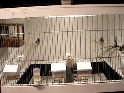 download lagu mp3 mp4 14 08 2010, download mp3 14 08 2010 free downloadn, video klip 14 08 2010