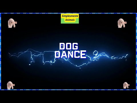 DOG DANCE