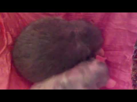 Bitch please, I'm trying to sleep