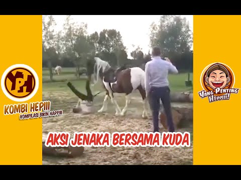 aksi-jenaka-bersama-kuda