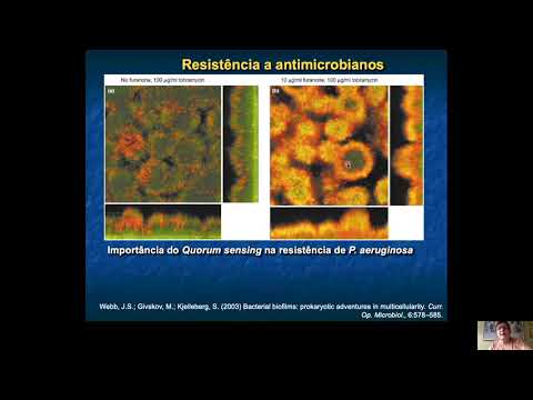 Biofilmes e Quorum Sensing   Parte 2