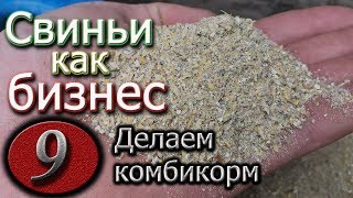 Как правильно откармливать поросят на мясо