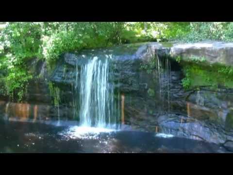 Relax watching waterfall - INESSA GALANTE & Dzintars (INFO) - Motets Mendelssohn