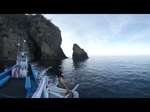 御火浦海上タクシー360度【三尾出航から旭洞門まで】