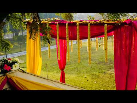 Wedding Decorator portfolio by Dream Decor Studio in Delhi - Photo 1 Wedding Decorator portfolio by Dream Decor Studio in Delhi - Photo 1