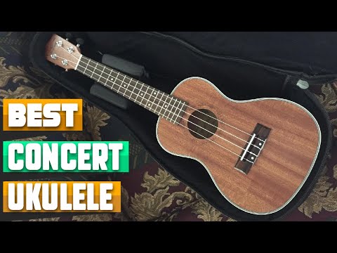 Most Amazing Concert Ukuleles in 2026