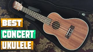Most Amazing Concert Ukuleles in 2026
