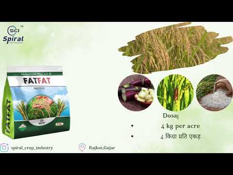 chlorantraniliprole 0.4 gr Spiral Fatfat Insecticides