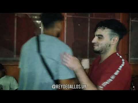 CDV F6: 4tos - Nano vs Spektro