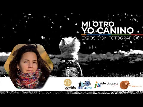 "Mi Otro Yo Canino": Una Exposición Fotográfica en Homenaje a los Perros