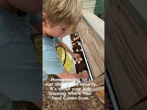 Beyond Security: The True Depth of Homesteading