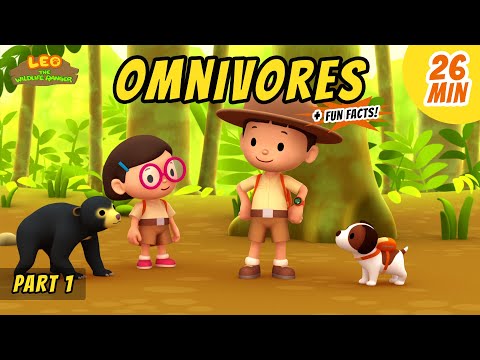 Omnivores (Part 1/4) - Animals Stories for Kids | Educational | Leo the Wildlife Ranger