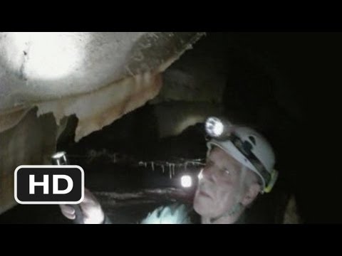 Cave of Forgotten Dreams #2 Movie CLIP - Authentic Cave Paintings (2010) HD