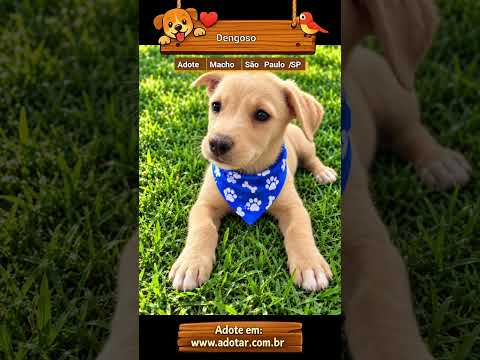 Vídeo de Dengoso