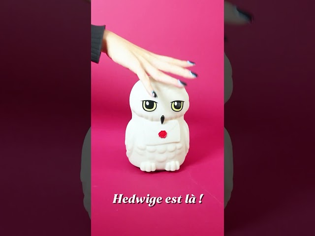 Vídeo relacionado con Lexibook - Luz de Noche LED de Bolsillo Harry Potter para habitación infantil, cambio de colores, luz suave, a pilas, NLJ01HP