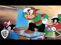 Looney Tunes Musical Masterpieces Katnip Kollege Warner Bros Entertainment