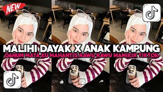 Download lagu DJ MALIHI DAYAK X ANAK KAMPUNG SLOW JJ VIRAL • DANUM MATA KU MAHANTIS RAWU RAWU SOUND VIRAL TIKTOK mp3