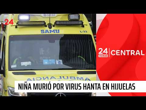 Menor de 7 años falleció por Hantavirus en Valparaíso: descartan nuevos casos