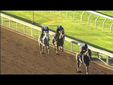BREEDERS' CUP WORKOUT: Curalina (10/16/15)