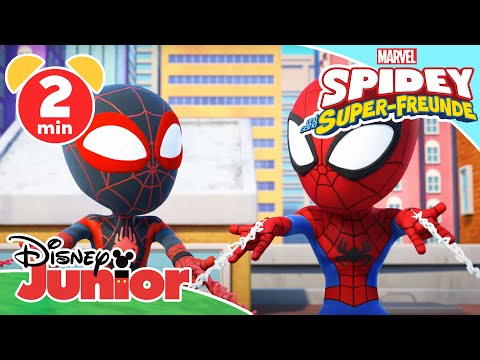 🕷 Spidey & Spin verlieren nie den Faden! | Spidey und seine Super-Freunde