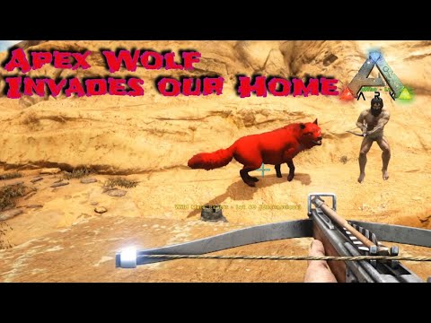 Ark: Survival Evolved - Primal Fear Mod - Scorched Earth EP 5 - The Apex Wolf that Wouldn't Leave