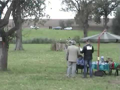 SPANISH PRE FROM SUSAETA STUD COMPETING IN  EVENTING