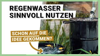 Regenwasser sammeln und im Garten SINNVOLL nutzen