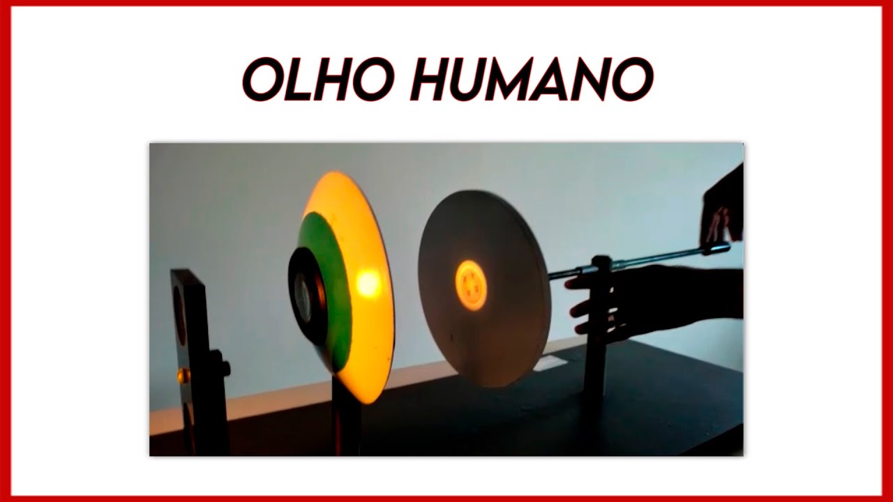 Experimentando: Olho humano / Human eye
