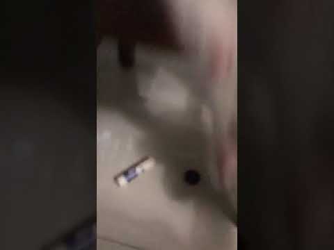 Preetha fun with Meuza