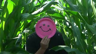 Dendrons – Tuck Me Under