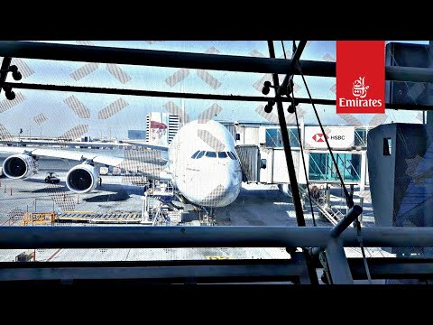 image-Can I fly to Los Angeles from Dubai?