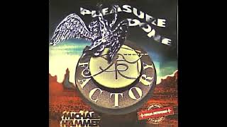 Michael Hammer - Pleasure Dome (1995)