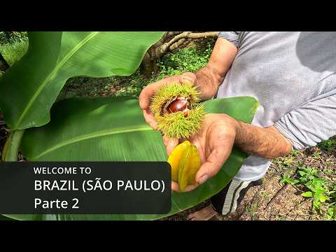 Tour pelo campo em Atibaia (São Paulo) Parte 2 – Brasil como poucos turistas já viram