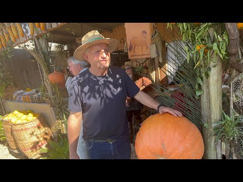FESTA NA ROÇA COM FARTURA - AMOSTRA DO CAMPO BOCAINA DO SUL