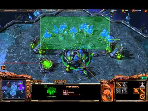 1- Zai (Z) vs Gully (P)