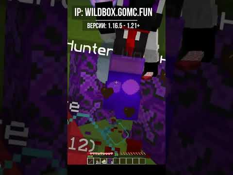 Обложка видео-обзора для сервера WildBox