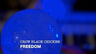 Crow Black Chicken - Freedom [ Live from Windmill lane ]